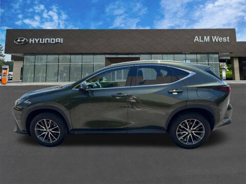 2024 Lexus NX 250 Premium
