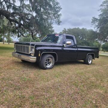 1976 GMC C/K 1500 Series for sale at VANS CARS AND TRUCKS in Brooksville FL