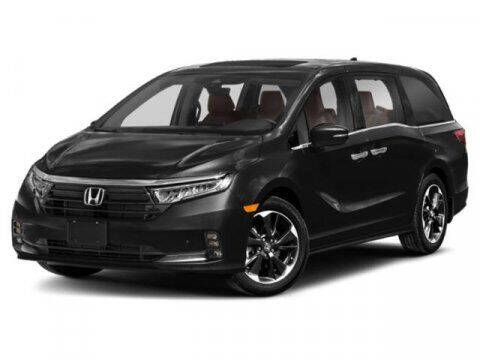 2022 Honda Odyssey Elite
