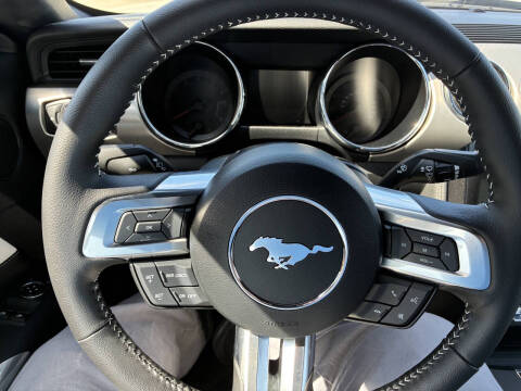 2015 Ford Mustang GT 50 Years Limited Edition