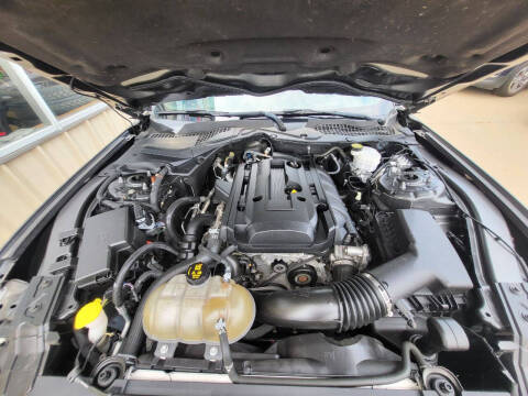 2019 Ford Mustang EcoBoost