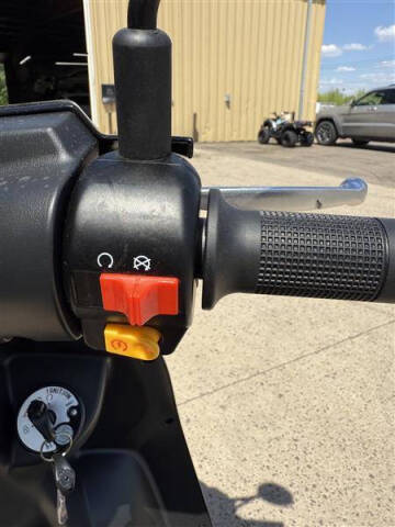 2025 Icebear ACEND BELLA