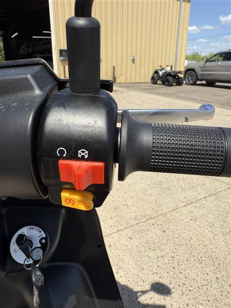 2025 Icebear ACEND BELLA