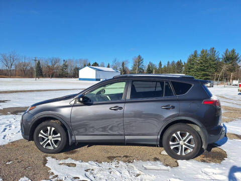 2017 Toyota RAV4 for sale at Steve Winnie Auto Sales in Edmore MI