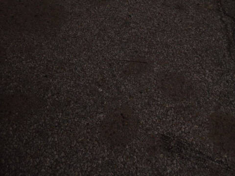 2009 Chevrolet TrailBlazer