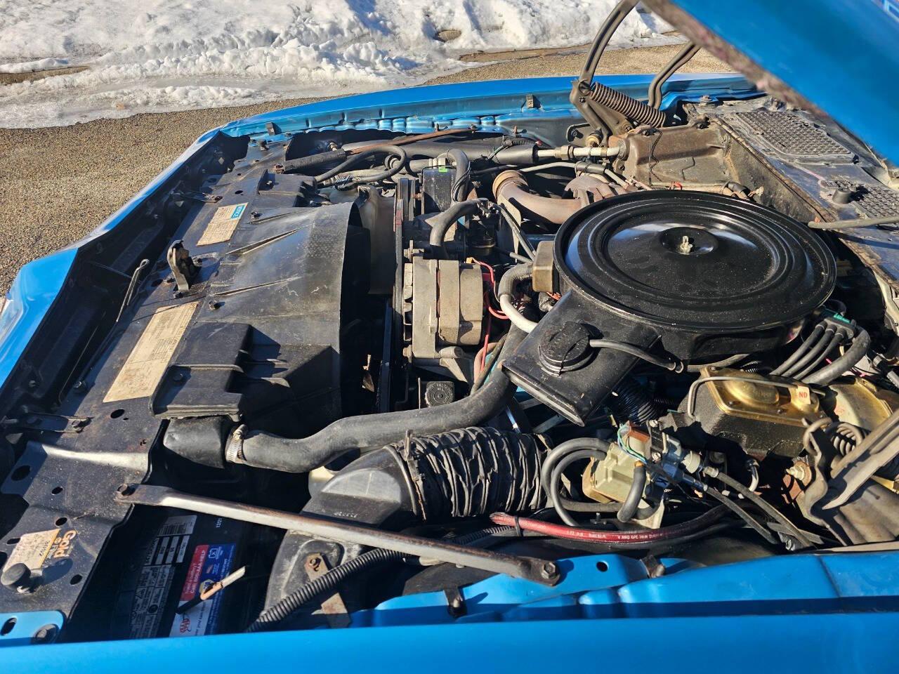 1980 Pontiac Firebird Trans Am 37