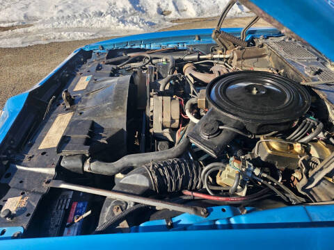 1980 Pontiac Trans Am