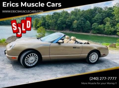 2005 Ford Thunderbird for sale at Eric's Muscle Cars in Clarksburg MD