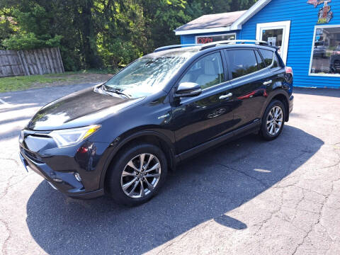 2017 Toyota RAV4 Hybrid for sale at Michigan Auto Sales in Kalamazoo MI