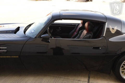 1981 Pontiac Firebird Trans Am