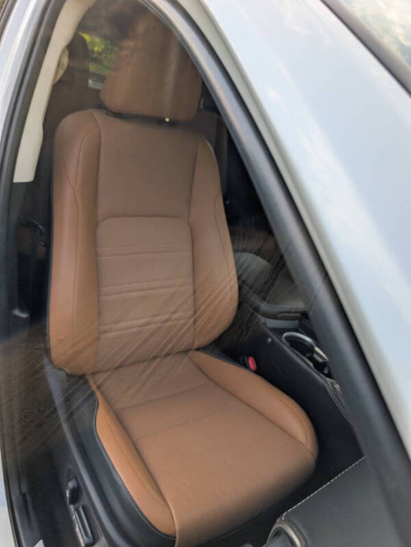 2019 Lexus NX 300h