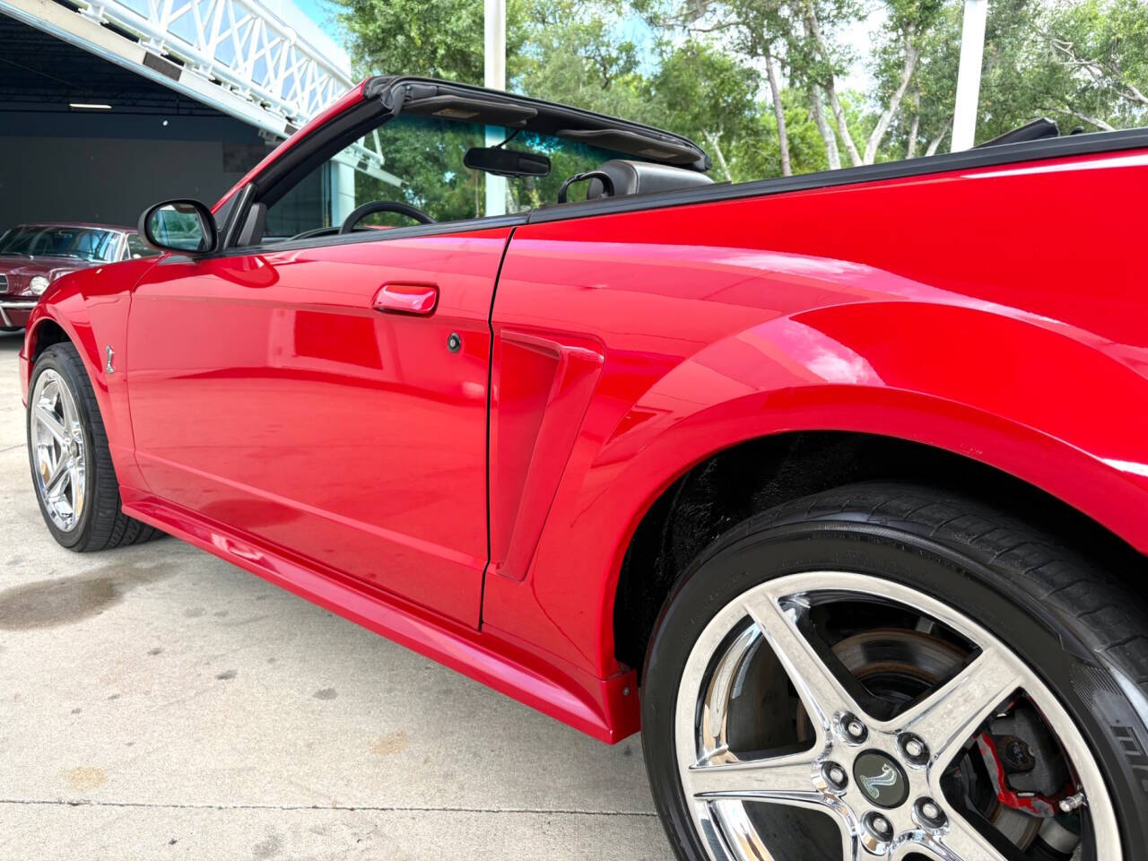1999 Ford Mustang SVT Cobra 14