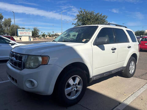 2009 Ford Escape XLT
