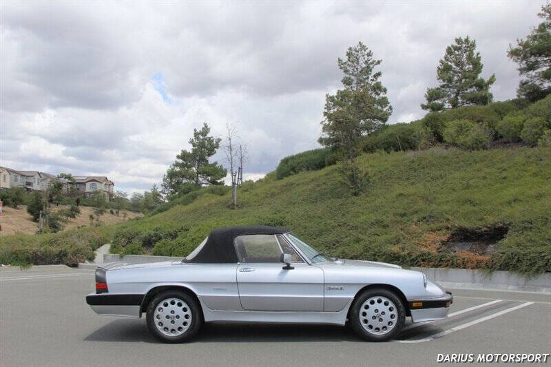 1986 Alfa Romeo Spider Veloce