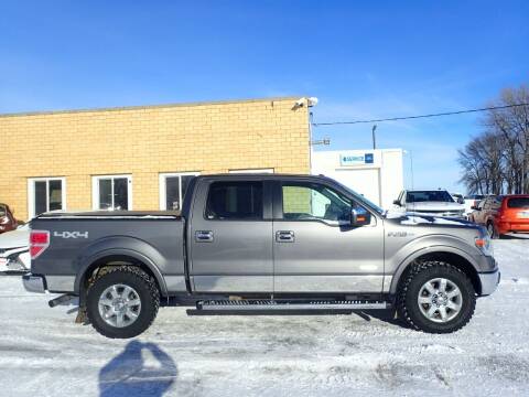 2013 Ford F-150 for sale at Salmon Automotive Inc. in Tracy MN