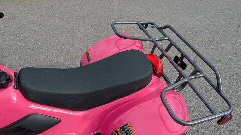 2024 TrailMaster Mini 110 Sport