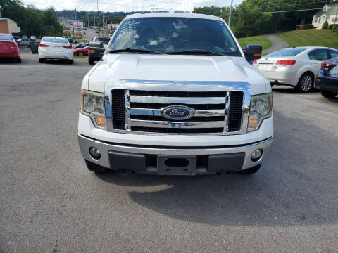 2011 Ford F-150 for sale at DISCOUNT AUTO SALES in Johnson City TN