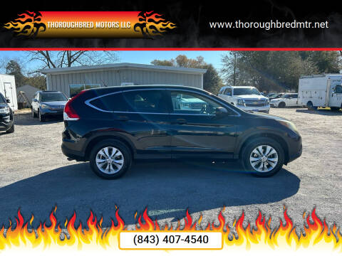 2014 Honda CR-V for sale at Thoroughbred Motors LLC in Scranton SC