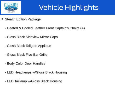 2020 Ford Expedition MAX Limited