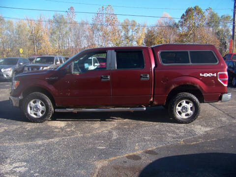 2010 Ford F-150 for sale at C and L Auto Sales Inc. in Decatur IL