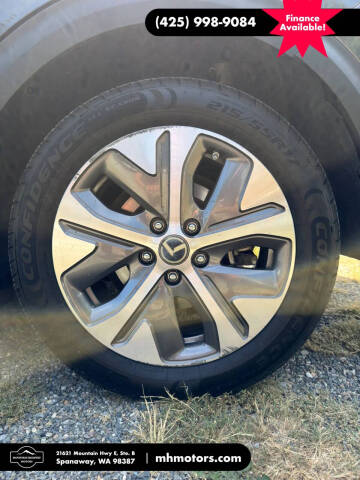 2019 Kia Niro EV EX