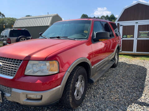 2003 Ford Expedition for sale at M&L Auto, LLC in Clyde NC