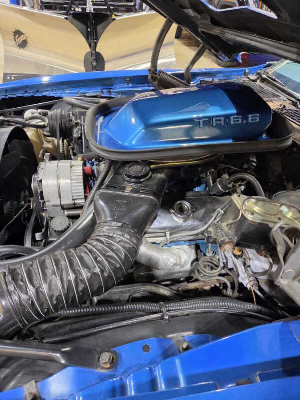1978 Pontiac Trans  Am