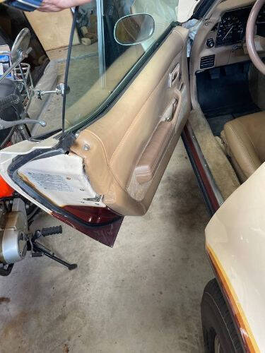 1981 Chevrolet Corvette