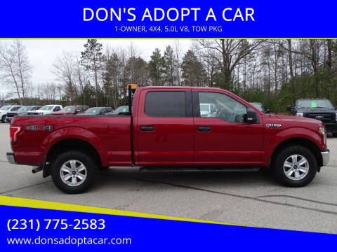 2015 Ford F-150 for sale at DON'S ADOPT A CAR in Cadillac MI