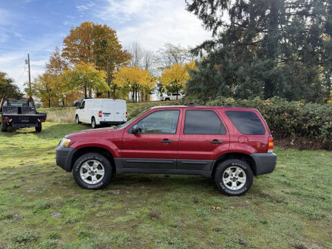 2007 Ford Escape XLT