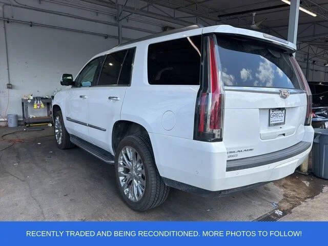 2019 Cadillac Escalade Luxury