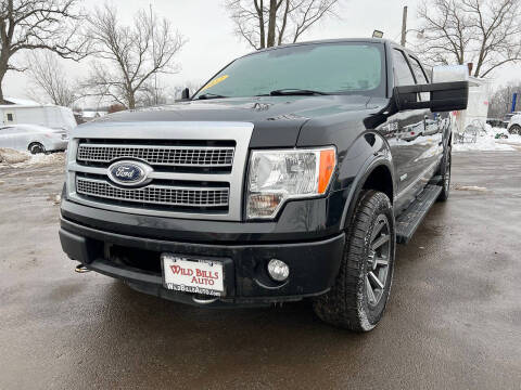 2012 Ford F-150 Platinum