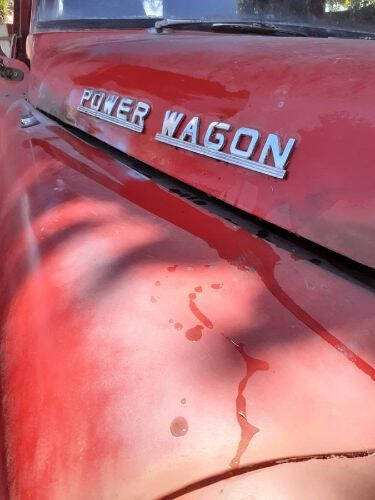 1957 Dodge D100 Pickup