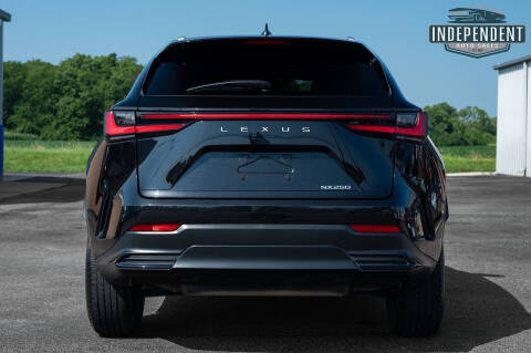 2022 Lexus NX 250