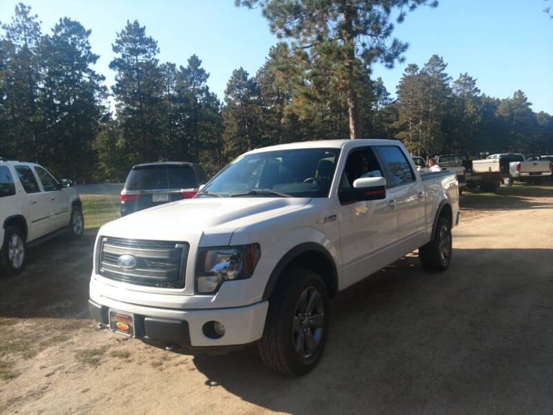 2013 Ford F-150 for sale at SUNNYBROOK USED CARS in Menahga MN
