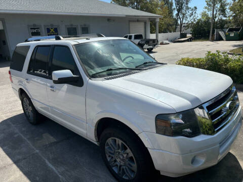 2014 Ford Expedition for sale at X Auto LLC in Pinellas Park FL