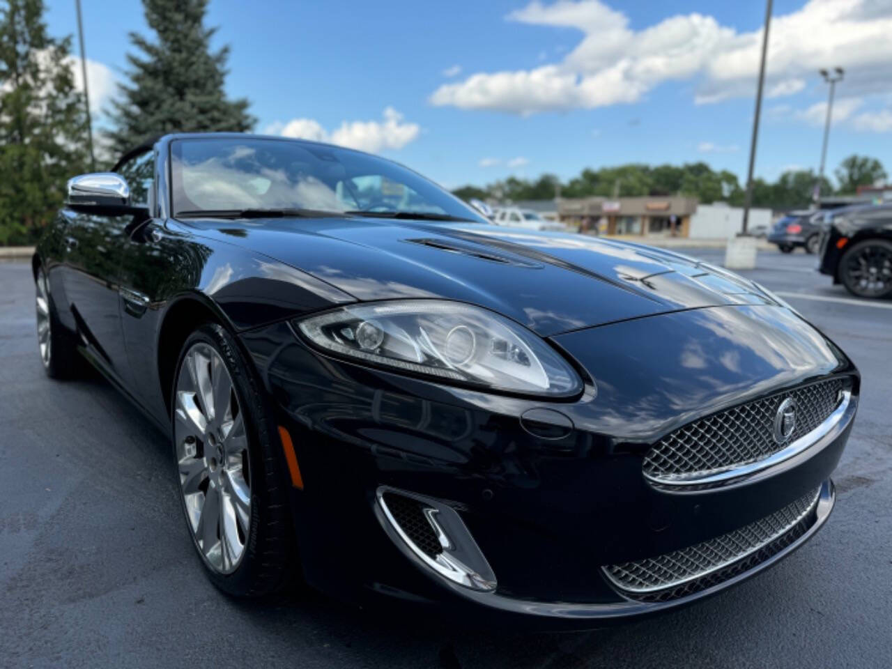 2013 Jaguar XK for sale at Opus Motorcars in Utica, MI