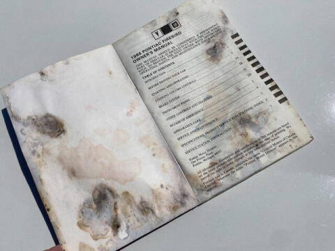 1986 Pontiac Firebird Trans Am