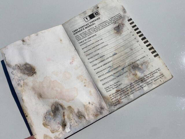 1986 Pontiac Firebird Trans Am