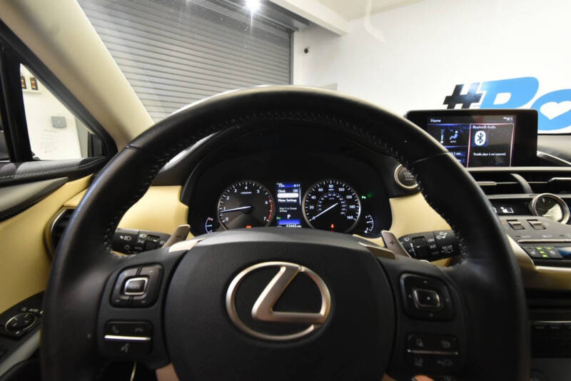 2019 Lexus NX 300 F SPORT