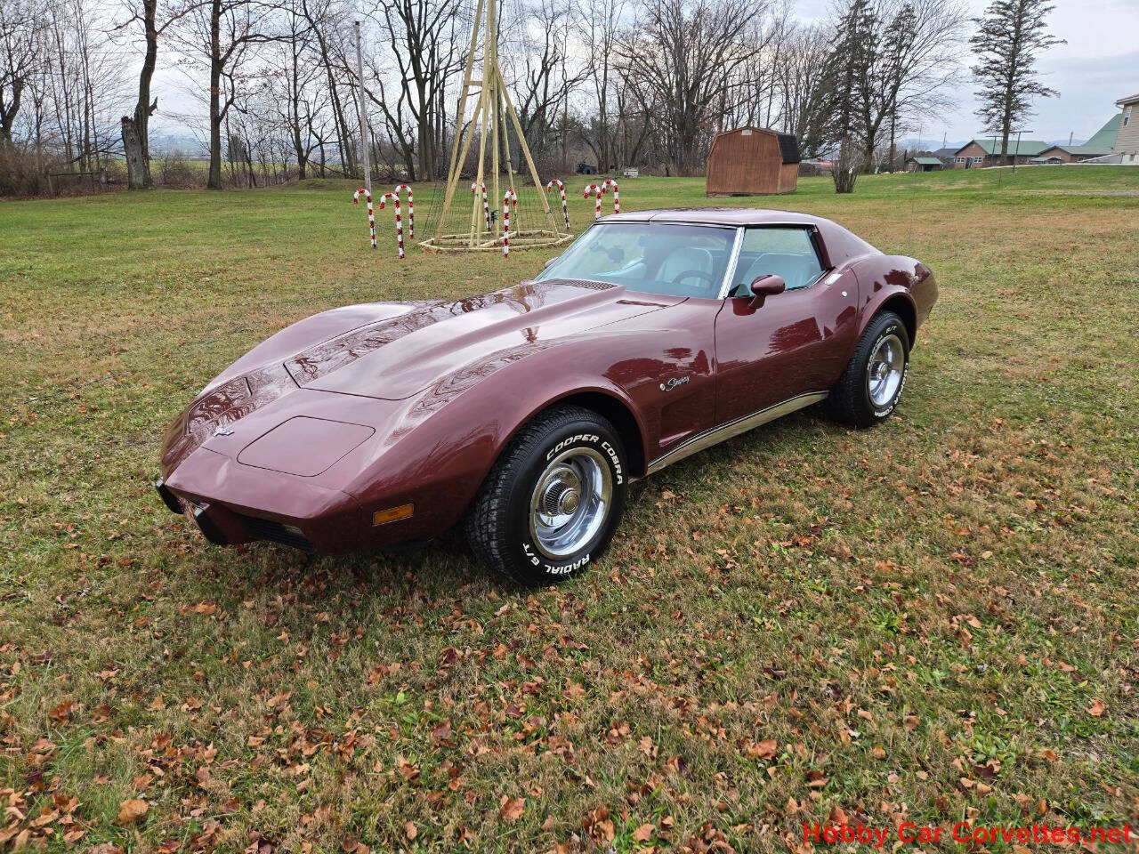 1976 Chevrolet Corvette 10