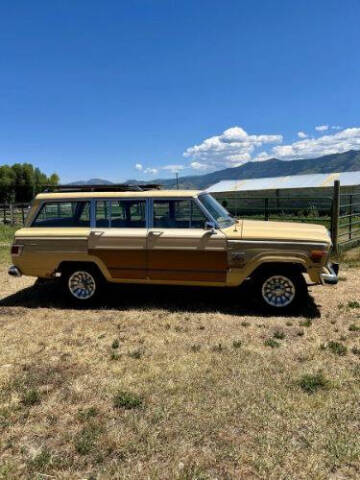 1981 Jeep Wagoneer Limited