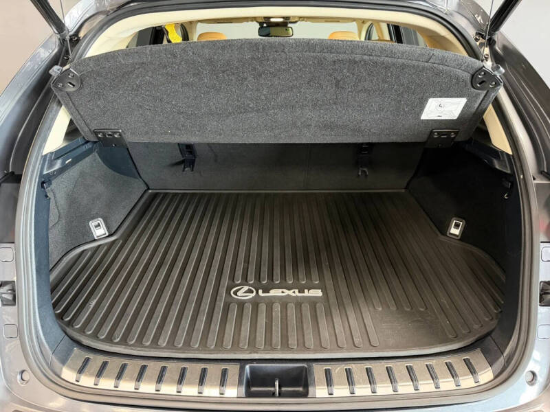 2021 Lexus NX 300h