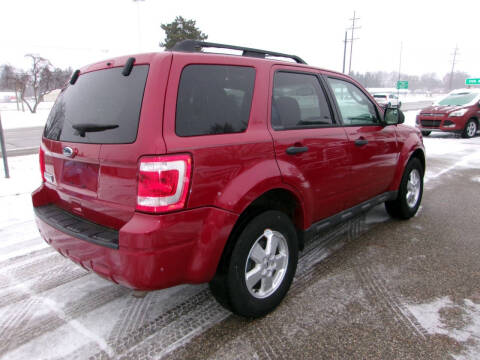 2010 Ford Escape XLT