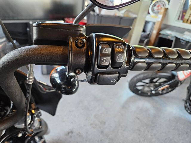 2019 Harley-Davidson softtail street bob