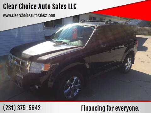 2009 Ford Escape for sale at Clear Choice Auto Sales LLC in Twin Lake MI