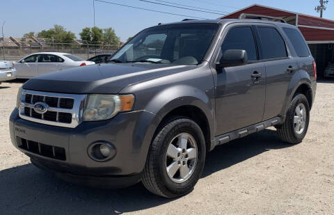 2009 Ford Escape XLT