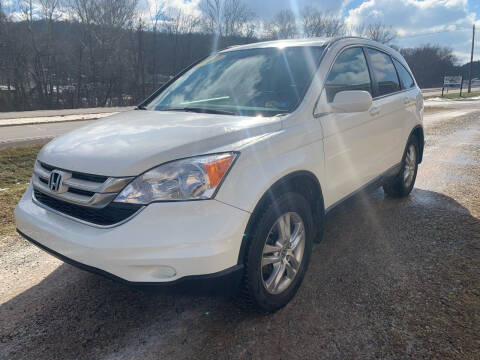 2010 Honda CR-V for sale at Court House Cars, LLC in Chillicothe OH