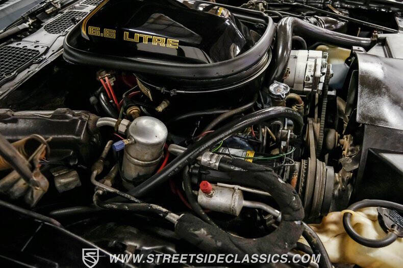 1979 Pontiac Firebird