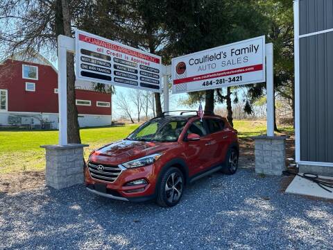 2017 Hyundai Tucson for sale at Caulfields Family Auto Sales in Bath PA